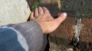 Бюджетная односкатная плоская/ровная, эксплуатируемая крыша. Обшивка свеса/короба, крыши дома. Ч. 1