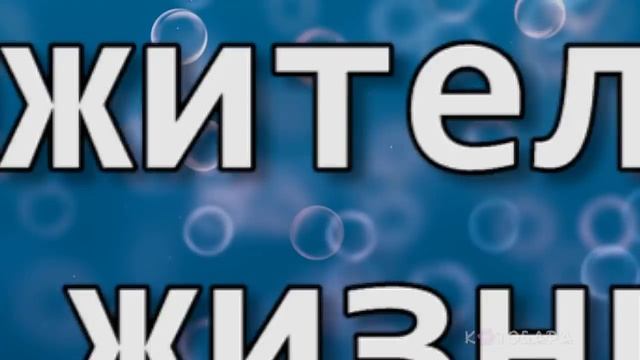 В ЧЁМ РАЗНИЦА? ВОРОНА vs ВОРОН