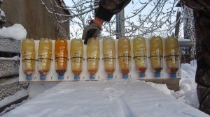 -32C Сравнение масел 0W-30, Eurol, Castrol, Dragon, Addinol, Petronas, Mobil1, Shell 2016-2017 год