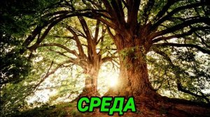 Как день недели рождения влияет на характер и судьбу человека