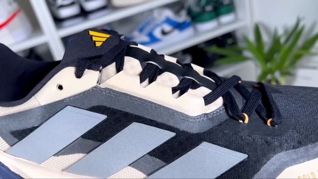 Adidas Adistar Cold Rdy Review& On Foot