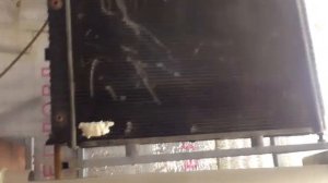 Камера для выращивания шампиньонов.