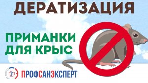 Дератизация. Приманки для крыс в цеху