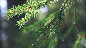 Прогулка с Olympus M10 (4)