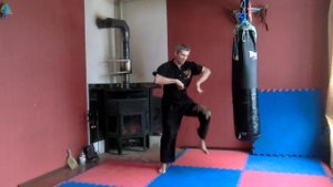 Система рукопашного боя Чхарёк направление Орла и змеи