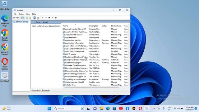 MySQL Workbench No Connection Established [Solved]