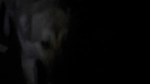 22 Часть! Промысел в тайге 2015!  Охота, байки, быт.