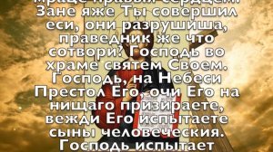 СЕГОДНЯ ВАЖНО СКАЗАТЬ СЛОВА БЛАГОДАРНОСТИ ГОСПОДУ. Иисусова молитва. Спасибо Богу за всё