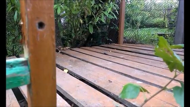 гадюка на даче смотреть онлайн