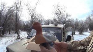 Гусиный и утиный подсад/Чучела/Софтпласт/Обзор посылки/Обновляю свои запасы чучал