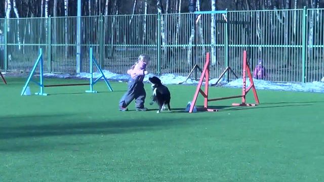 Дети на соревнованиях по аджилити 14.03.15