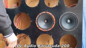 Лучшая панчевая бюджетная эстрадная 20ка DL Audio Barracuda 200 vs Zeus MR-8.1