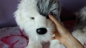 Unboxing Willard the Old English Sheepdog Plush by Douglas Cuddle Toys 💙🤍