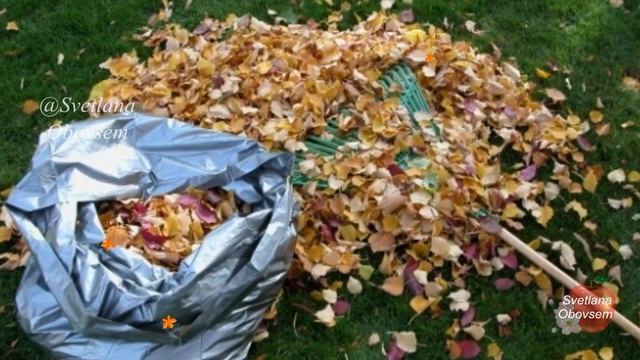 СТОЙ! НЕ СЖИГАЙ ЦЕННЕЙШЕЕ ОРГАНИЧЕСКОЕ УДОБРЕНИЕ,ДА ЕЩЕ И БЕСПЛАТНОЕ! ПРИМЕНЕНИЕ ОПАВШИХ ЛИСТЬЕВ