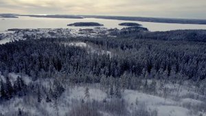 Национальный парк "Ладожские шхеры". Зима 2023