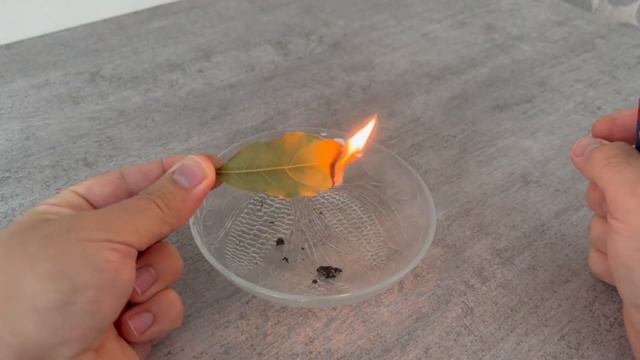 Light THIS Leaf and you will THANK ME FOREVER?(Genius Trick)? смотреть онлайн