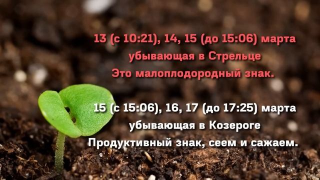 Когда сеять ДЛЯ БОЛЬШОГО УРОЖАЯ! Лунный посевной календарь на МАРТ 2023  #лунныйпосевнойкалендарь
