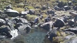Джилы-Су, Серебряный источник The Silvery Spring.m2ts