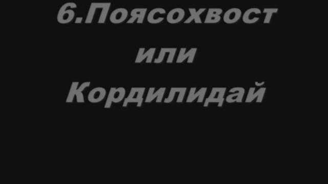 Топ 10 самых Прикольных животных Земли