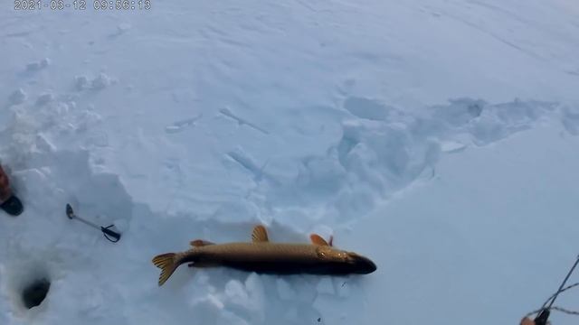 Отличная рыбалка на озере часть 2 смотреть онлайн