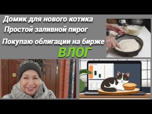 ВЛОГ/Домик для нового котика/ Простой заливной пирог с капустой/Покупаю облигации на бирже