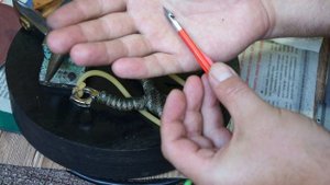 Всем любителям пострелять из рогатки стрелы болты