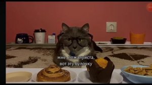 котинет сборник