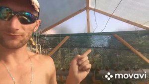 Разные культуры в теплице на гидропонике NFT НЕ ДЕЛАЙТЕ ТАК. #гидропонока #клубника #помидоры