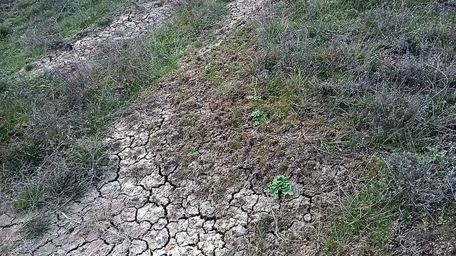 Окрестности Керчи..Джарджава.. Спящий грязевой вулкан