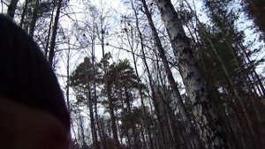 Рябчика на манок!!! Как подманить рябчика и добыть.mp4