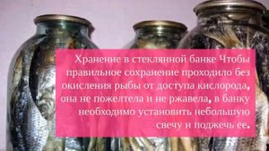 Простые решения для сохранения вяленой и сушёной рыбы в домашних условиях