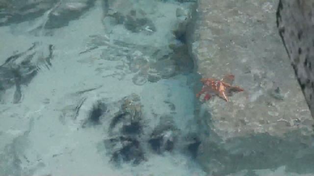 Стоун таун и Остров Присон. Танзания смотреть онлайн