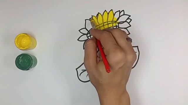 Как нарисуем подсолнух | для детей и малышей
