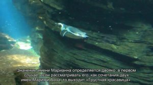 Значение имени Марианна. Толкование, судьба, характер