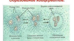 Современные представления о возникновении жизни