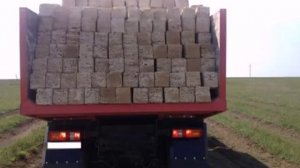 Заказать камень ракушечник