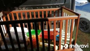 СДАЮ МОЛОКО НА МОЛОКОВОЗ!КУПИЛИ КРОВАТКУ!УБРАЛИ ВЕСЬ УРОЖАЙ С ОГОРОДА!СВЕКЛА,МОРКОВЬ И ТЫКВА!