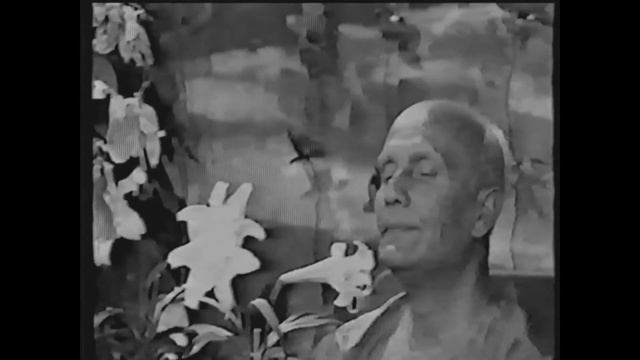 Концентрация медитация и созерцание смотреть онлайн