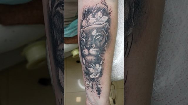 Сегодня у нас львица для девушки. #tattoo #Tattoo_Master