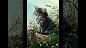 День рождения кота.песенка для любителей кошек.