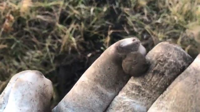 Выехали добить старое интересное место ! смотреть онлайн