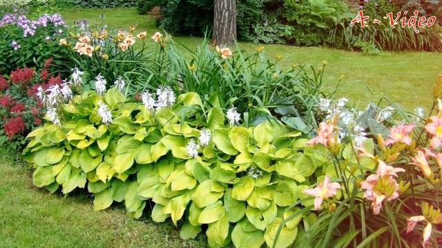 ?Ландшафтный дизайн Красивые идеи для благоустройства / Beautiful landscaping ideas / A - Video смотреть онлайн