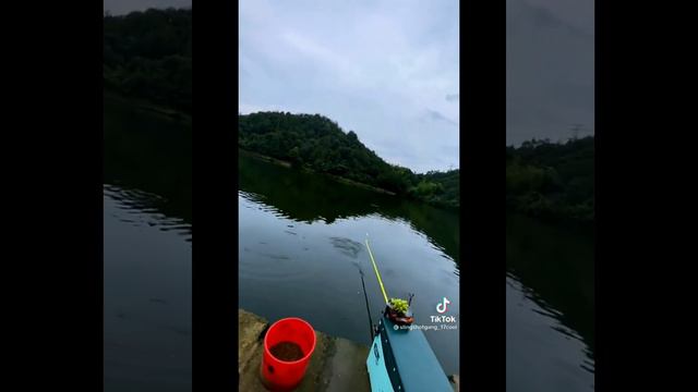 я шоке 😲 рыбалка на виноград смотреть онлайн