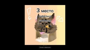 мои любимые квадроберы