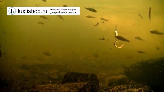Рыболовная камера для съемки под водой FishCam 350 DVR