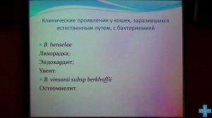 Бартонеллёз кошек. Эпизоотология и диагностика