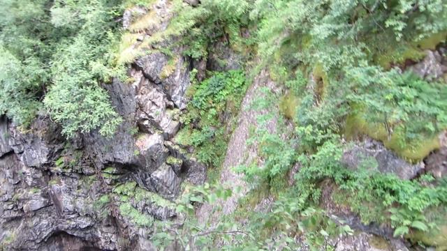 MVI 4586 смотреть онлайн