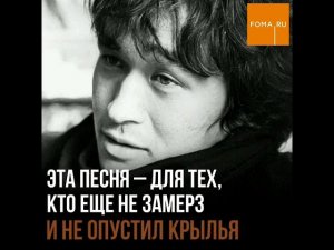 Ольга Кормухина и Алексей Белов назвали любимую песню Цоя