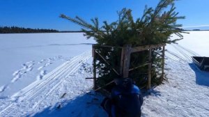 В ТАЙГУ, НА ОХОТНИЧИЙ ДОМИК!!! ТАЁЖНЫЙ БЫТ, РЫБАЛКА!!!