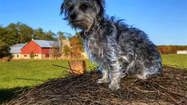 Ураган хороших русских клипов в машину онлайн смотреть онлайн